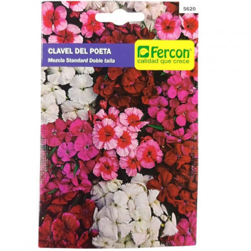 Clavel Del Poeta X 4 Uniadades