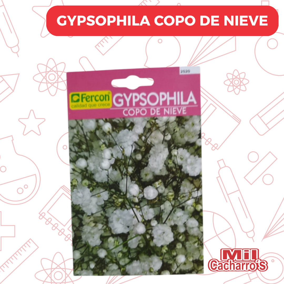 Semilla Gypsophila Copo De Nieve