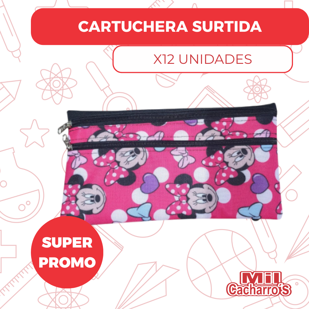 Cartuchera Económica Surtida X12 Unidades
