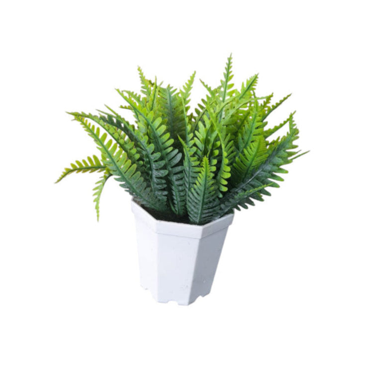 Plantas Decorativas X6 Unidades