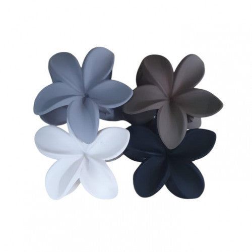 Caiman Flor X12 Unidades