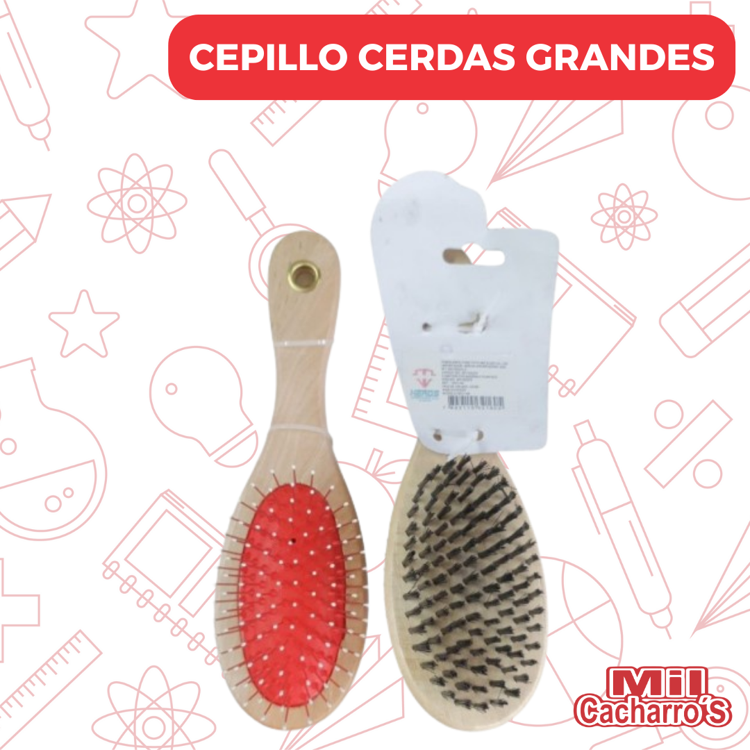Cepillo Cerdas Grande