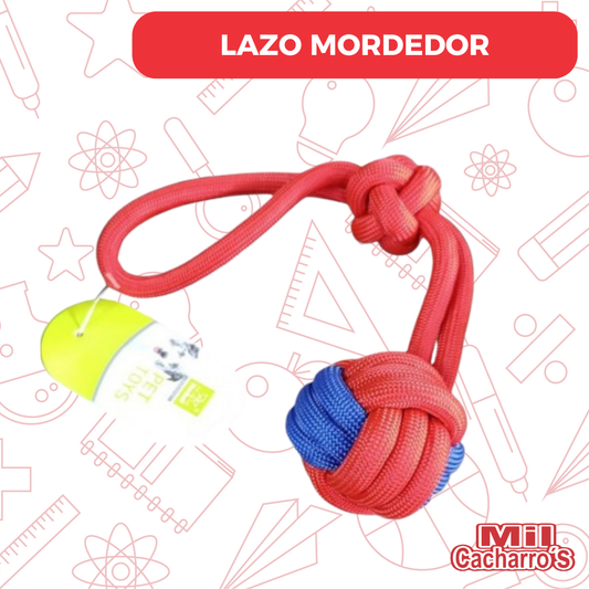 Lazo Mordedor Con Pelotas Mascotas