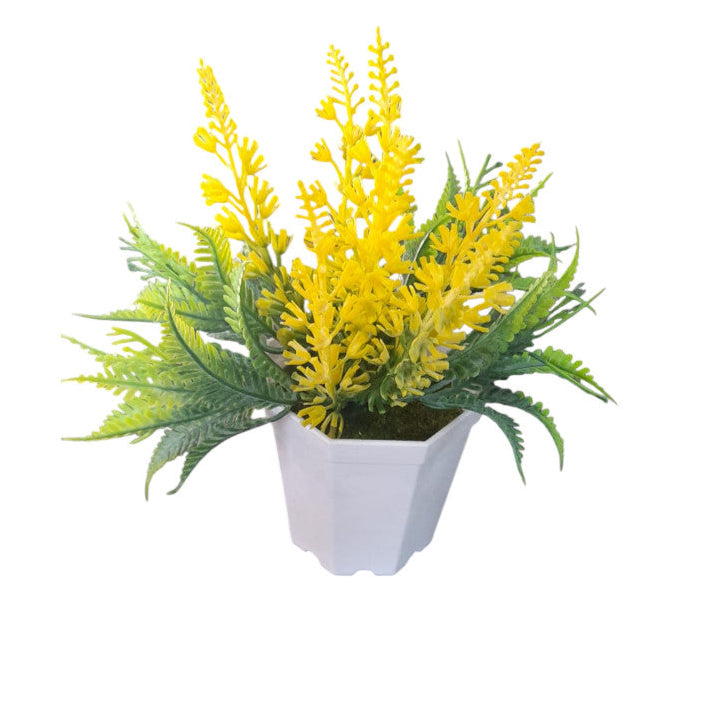 Plantas Decorativas X6 Unidades
