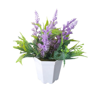 Plantas Decorativas X6 Unidades